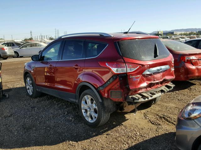 1FMCU0J95EUB73667 - 2014 FORD ESCAPE TIT RED photo 3