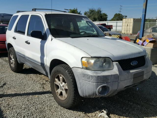 1FMYU03165KD62854 - 2005 FORD ESCAPE XLT WHITE photo 1