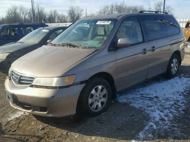 5FNRL186X3B101470 - 2003 HONDA ODYSSEY EX BEIGE photo 2