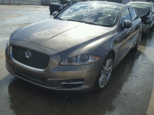 SAJWA2GB5BLV15797 - 2011 JAGUAR XJL TAN photo 2