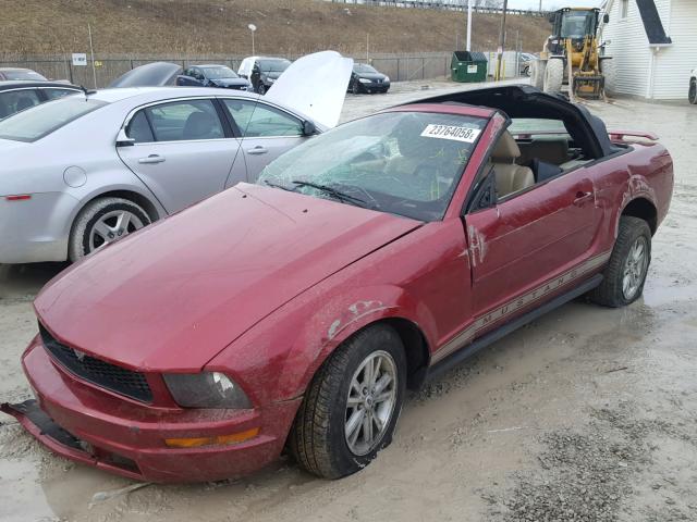 1ZVFT84N965262470 - 2006 FORD MUSTANG RED photo 2