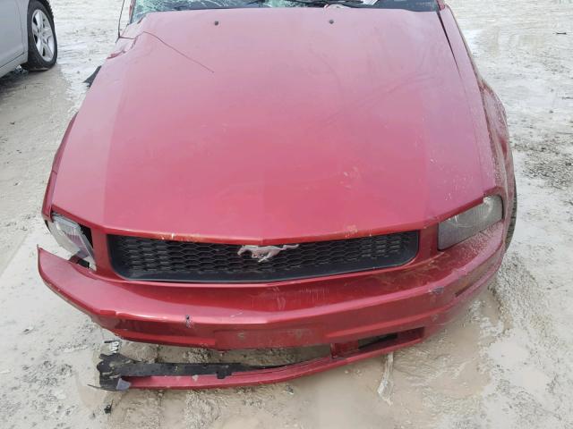 1ZVFT84N965262470 - 2006 FORD MUSTANG RED photo 7