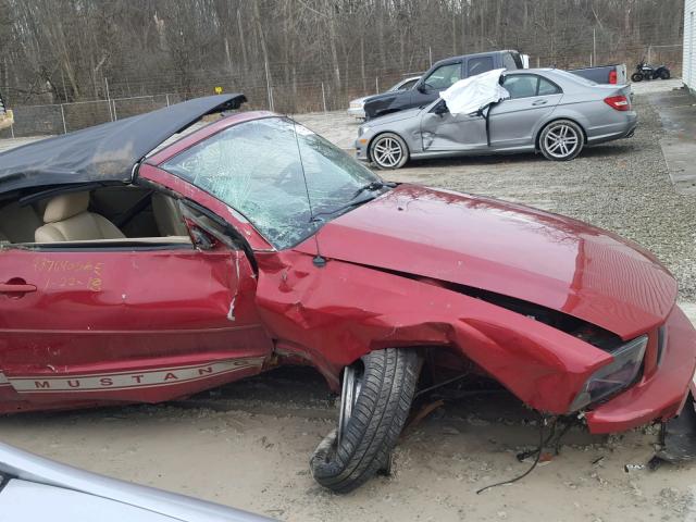 1ZVFT84N965262470 - 2006 FORD MUSTANG RED photo 9