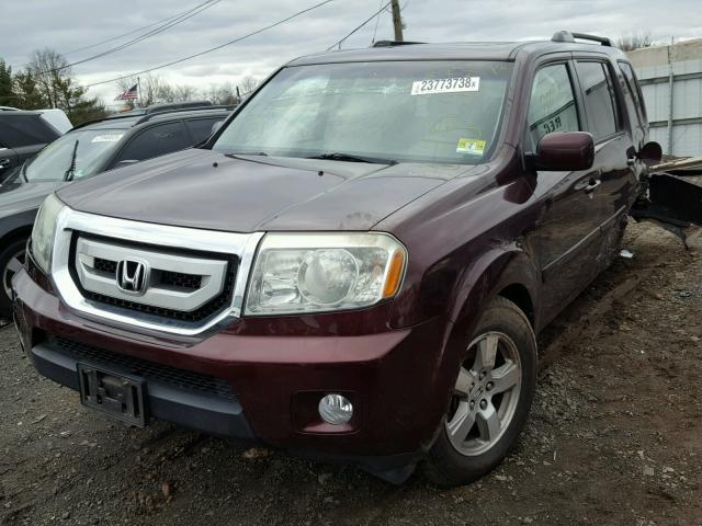 5FNYF48549B021375 - 2009 HONDA PILOT EXL BURGUNDY photo 2