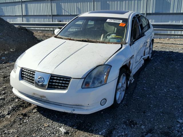 1N4BA41E44C844544 - 2004 NISSAN MAXIMA SE WHITE photo 2