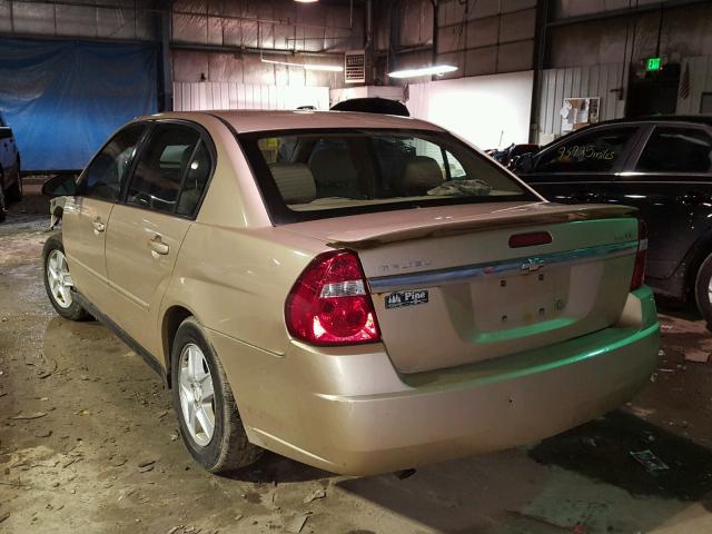 1G1ZT52865F279563 - 2005 CHEVROLET MALIBU LS თაფლისფერი ფოტო 3