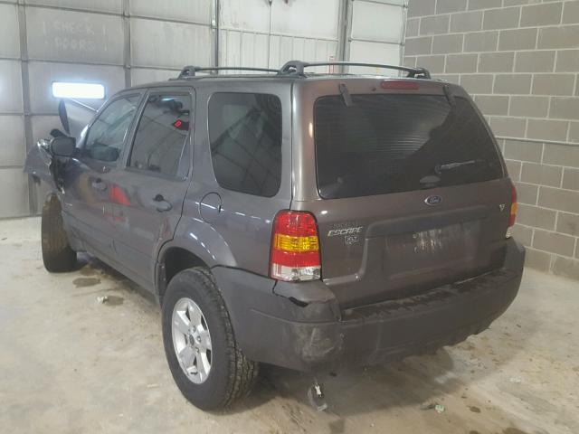 1FMYU03136KC54614 - 2006 FORD ESCAPE XLT GRAY photo 3