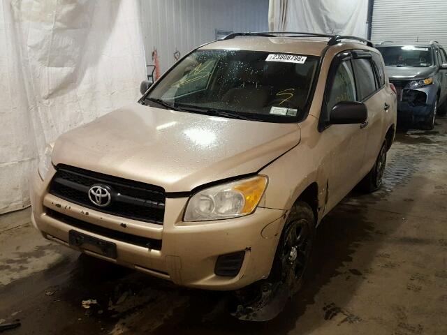 2T3BF4DV8AW074087 - 2010 TOYOTA RAV4 GOLD photo 2