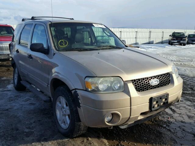 1FMCU93137KB79493 - 2007 FORD ESCAPE XLT GOLD photo 1