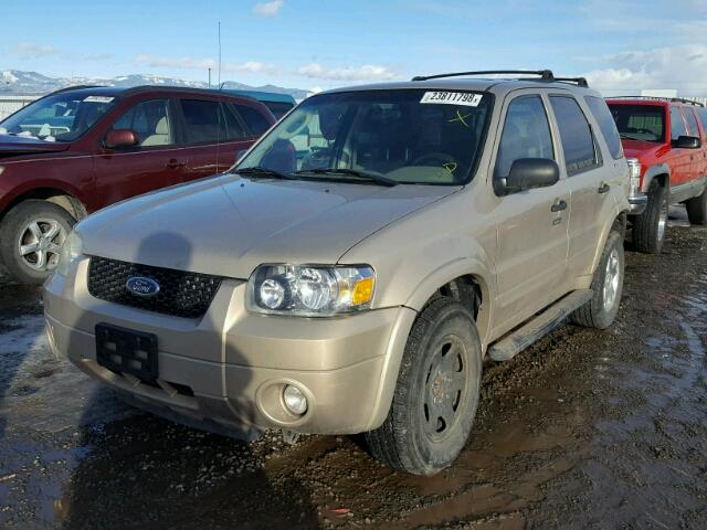 1FMCU93137KB79493 - 2007 FORD ESCAPE XLT GOLD photo 2