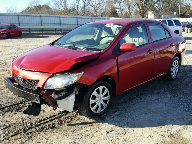 2T1BU40E59C164170 - 2009 TOYOTA COROLLA BA RED photo 2