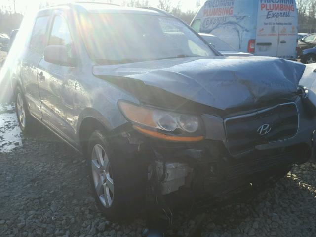 5NMSH13E39H245306 - 2009 HYUNDAI SANTA FE S BLUE photo 1