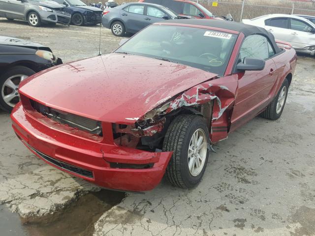 1ZVFT84N565189078 - 2006 FORD MUSTANG RED photo 2