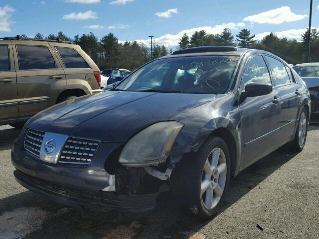 1N4BA41E34C873601 - 2004 NISSAN MAXIMA SE BLUE photo 2