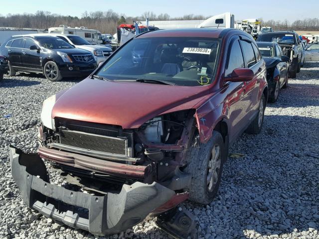 JHLRE48708C061587 - 2008 HONDA CR-V EXL BURGUNDY photo 2