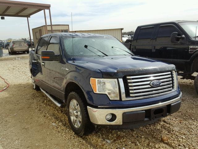 1FTFW1CF5BFB09164 - 2011 FORD F150 SUPER BLUE photo 1