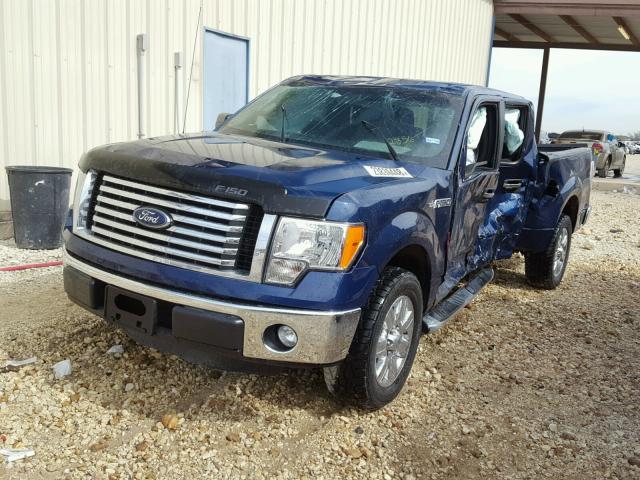1FTFW1CF5BFB09164 - 2011 FORD F150 SUPER BLUE photo 2