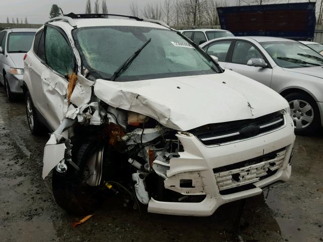 1FMCU9J99GUA14528 - 2016 FORD ESCAPE TIT WHITE photo 1