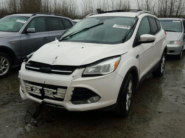 1FMCU9J99GUA14528 - 2016 FORD ESCAPE TIT WHITE photo 2