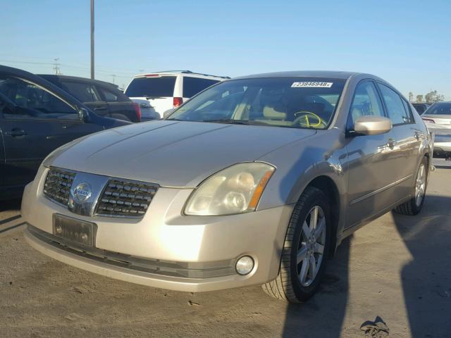 1N4BA41E05C833798 - 2005 NISSAN MAXIMA SE GOLD photo 2