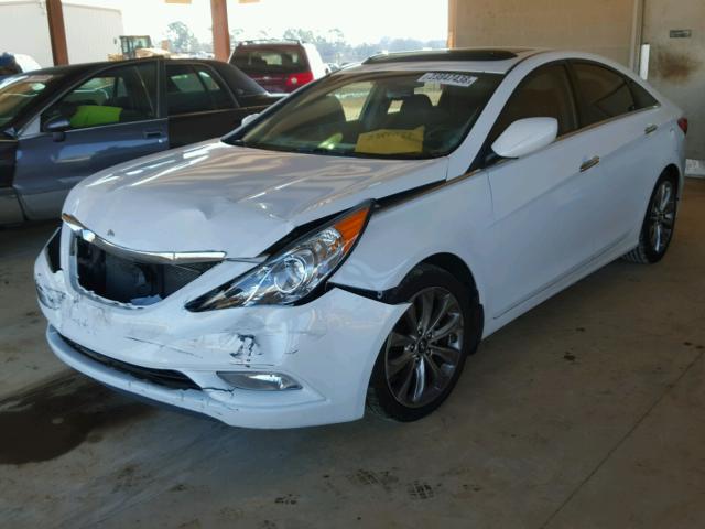 5NPEC4AC3DH560486 - 2013 HYUNDAI SONATA SE WHITE photo 2