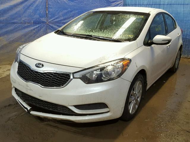 KNAFX4A67F5355806 - 2015 KIA FORTE LX WHITE photo 2