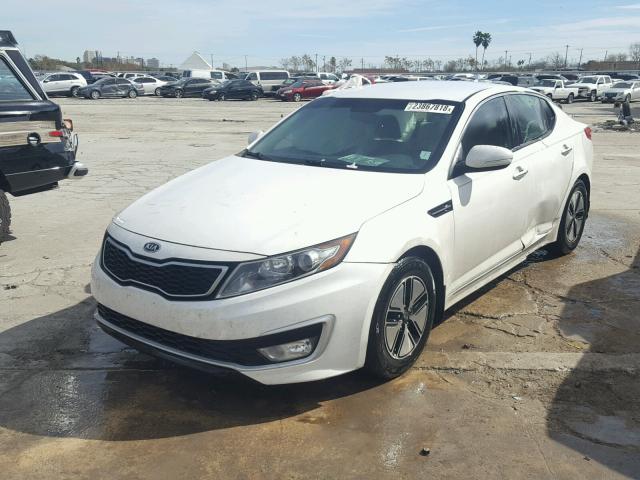 KNAGM4AD7C5009990 - 2012 KIA OPTIMA HYB WHITE photo 2