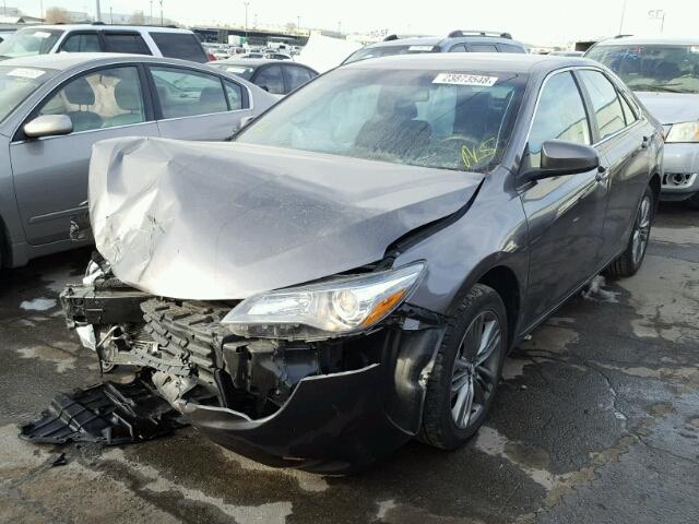 4T1BF1FK1GU206223 - 2016 TOYOTA CAMRY LE GRAY photo 2