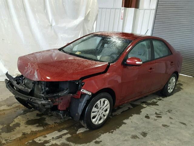 KNAFU4A29A5810525 - 2010 KIA FORTE EX RED photo 2