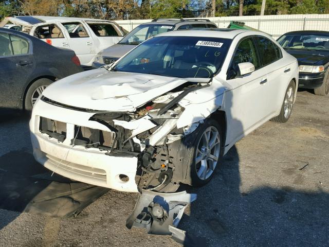 1N4AA5AP4CC868439 - 2012 NISSAN MAXIMA S WHITE photo 2