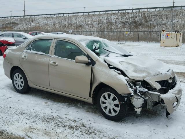 2T1BU4EE9AC364529 - 2010 TOYOTA COROLLA BA TAN photo 1