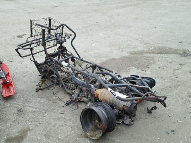 1HFTE254G64520376 - 2006 HONDA TRX350 FE BURN photo 3