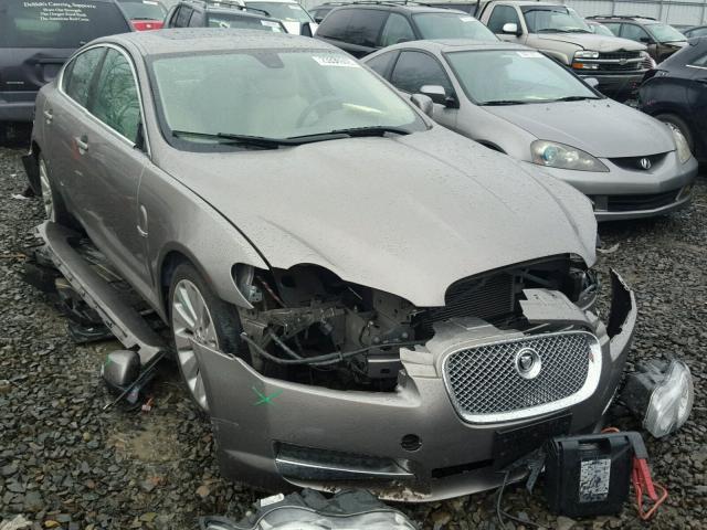 SAJWA06B49HR22724 - 2009 JAGUAR XF PREMIUM GRAY photo 1