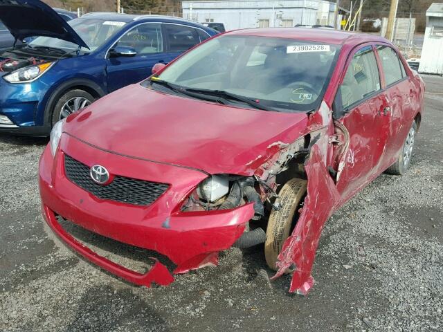 2T1BU40E09C177117 - 2009 TOYOTA COROLLA BA RED photo 2