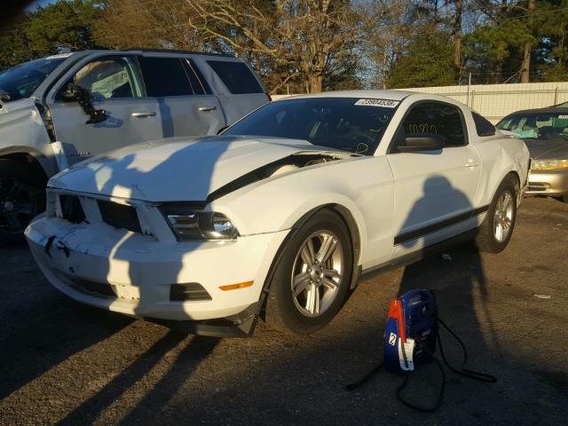 1ZVBP8AM6C5259911 - 2012 FORD MUSTANG WHITE photo 2