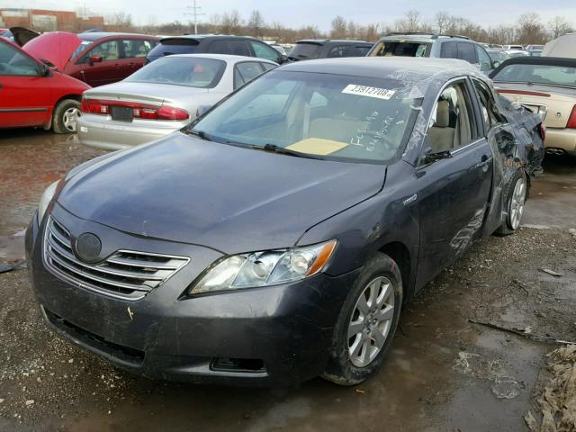 4T1BB46K59U101832 - 2009 TOYOTA CAMRY HYBR GRAY photo 2