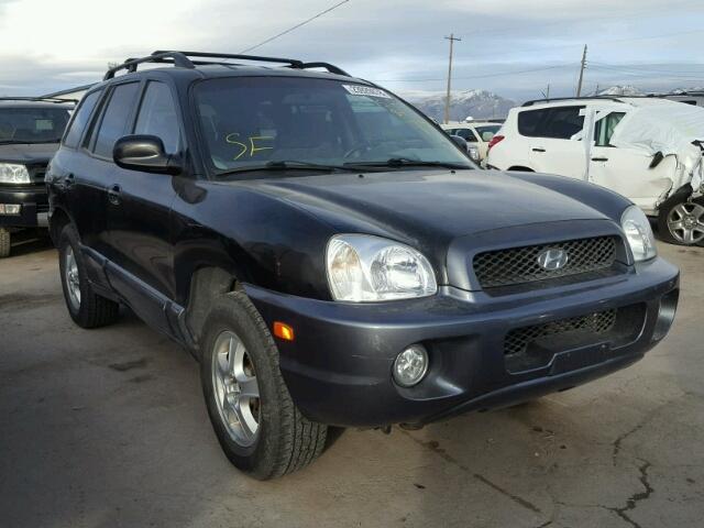 KM8SC73D53U461453 - 2003 HYUNDAI SANTA FE G BLACK photo 1