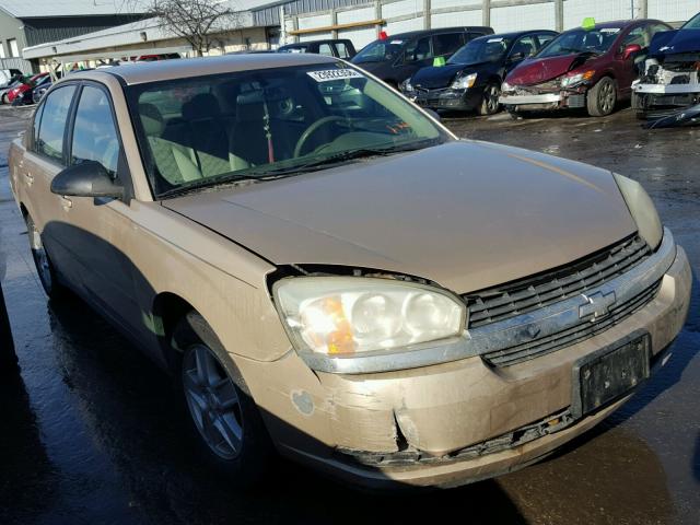 1G1ZT52895F232821 - 2005 CHEVROLET MALIBU LS TAN photo 1