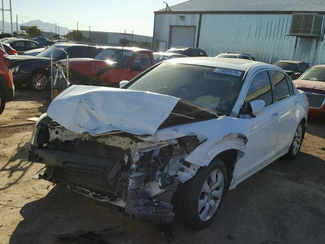 JHMCP26898C026204 - 2008 HONDA ACCORD EXL WHITE photo 2