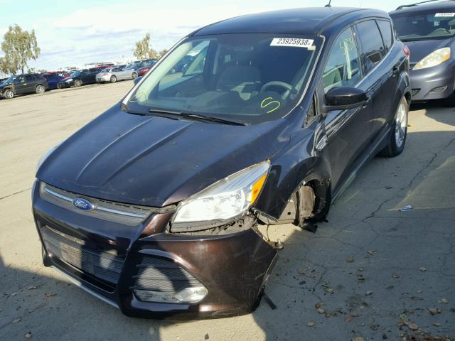 1FMCU0G96DUB40084 - 2013 FORD ESCAPE SE BLACK photo 2