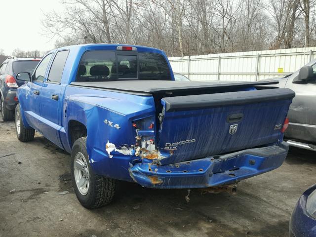 1D7HW48N08S581773 - 2008 DODGE DAKOTA QUA BLUE photo 3