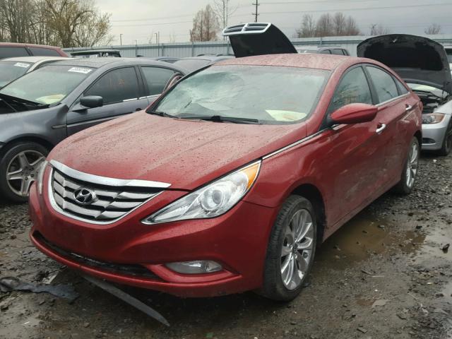 5NPEC4AB5BH226481 - 2011 HYUNDAI SONATA SE RED photo 2