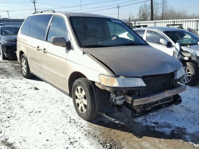 5FNRL18622B021787 - 2002 HONDA ODYSSEY EX GOLD photo 1