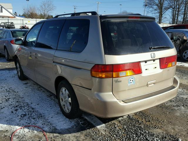 5FNRL18622B021787 - 2002 HONDA ODYSSEY EX GOLD photo 3