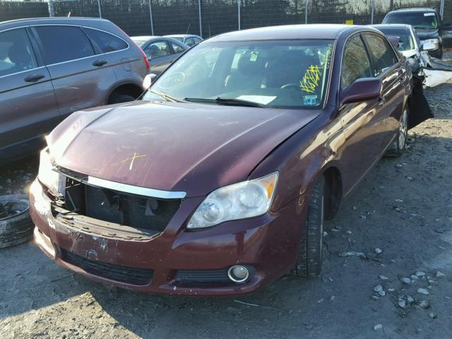 4T1BK36B48U269695 - 2008 TOYOTA AVALON XL RED photo 2