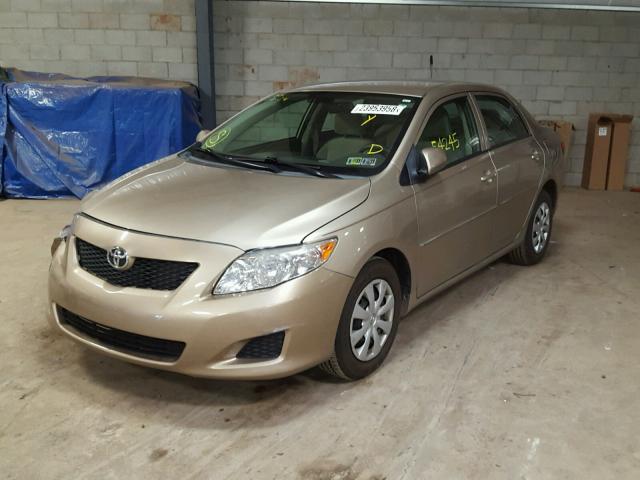 1NXBU4EE8AZ174395 - 2010 TOYOTA COROLLA BA BEIGE photo 2