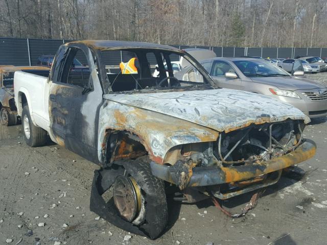 N0V1N23955418 - 1999 DODGE DAKOTA WHITE photo 1