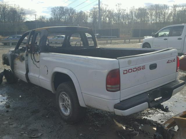 N0V1N23955418 - 1999 DODGE DAKOTA WHITE photo 3