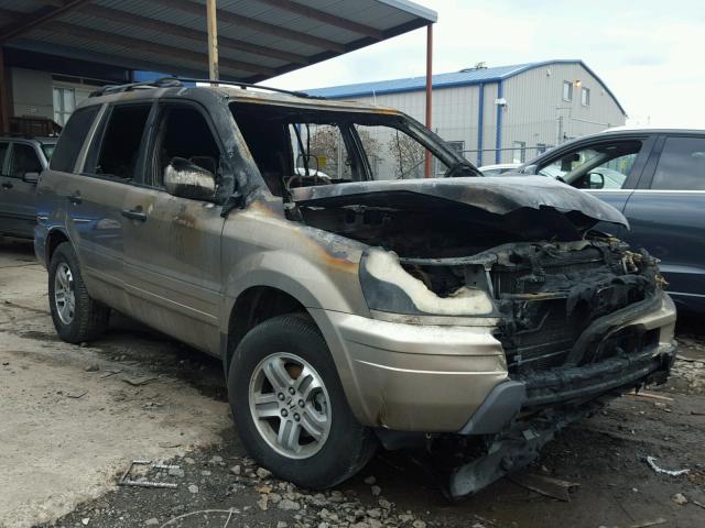 2HKYF18645H520504 - 2005 HONDA PILOT EXL TAN photo 1