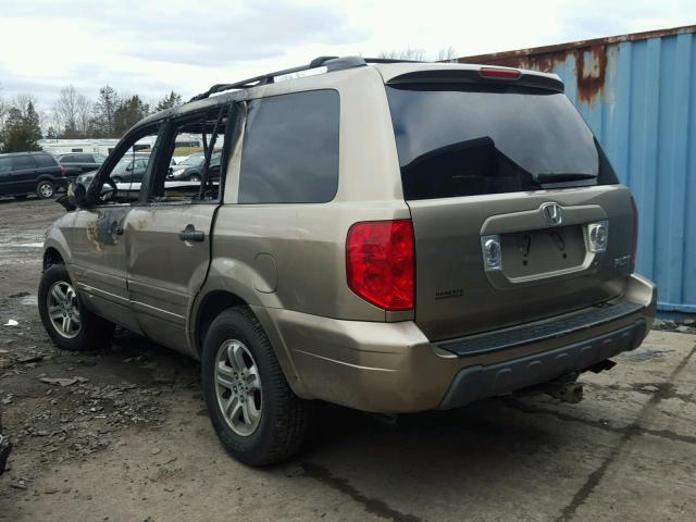 2HKYF18645H520504 - 2005 HONDA PILOT EXL TAN photo 3